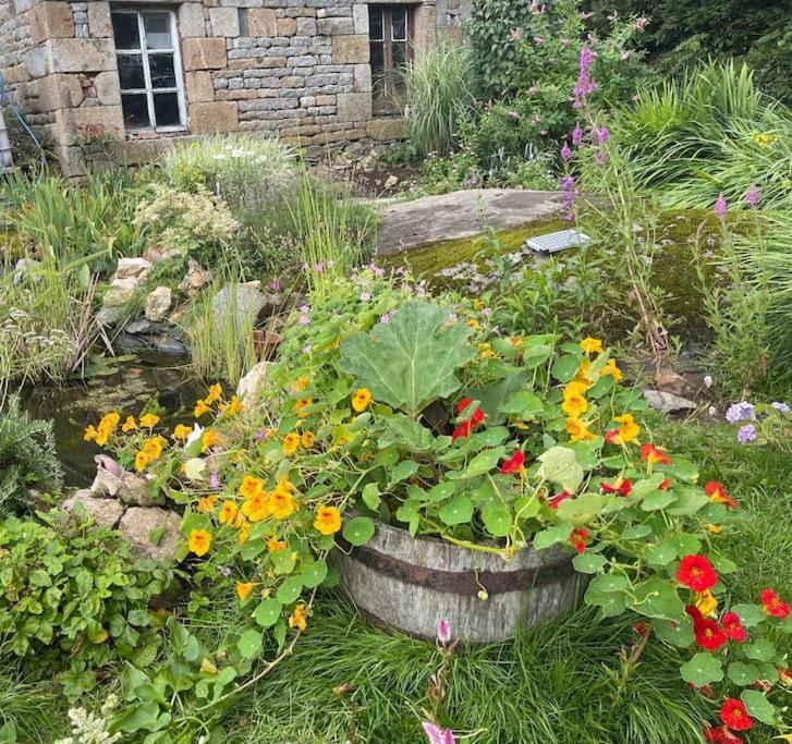 Le Petit Fleur - The Little Flower, Cosy Cottage Saint-Michel-de-Montjoie Exterior foto